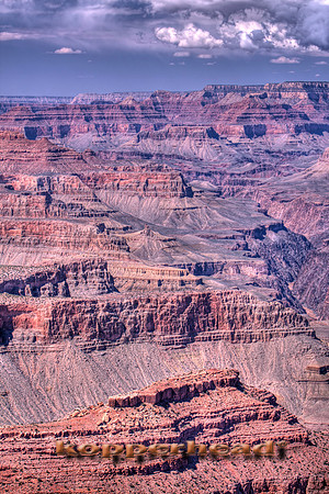 04342hx 03 2009 Kopperhead