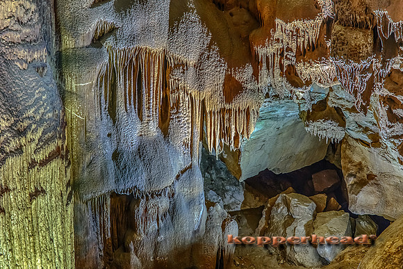 06227h 07 2013 Kopperhead