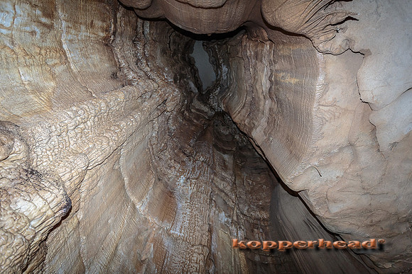 06260 07 2013 Kopperhead