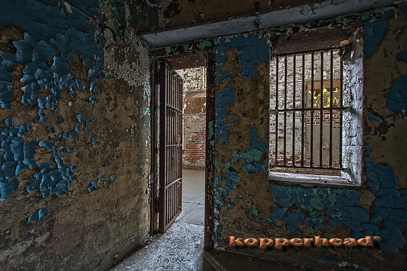 47166h 06 2012 Kopperhead