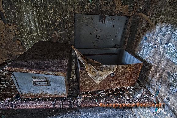 47169h 06 2012 Kopperhead