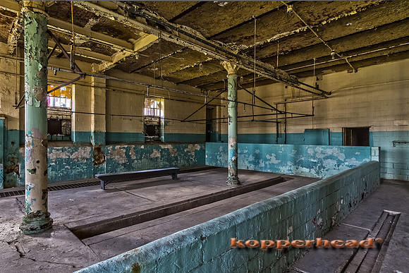 47178h 06 2012 Kopperhead