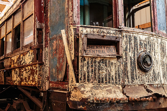40770 08 2015 Kopperhead