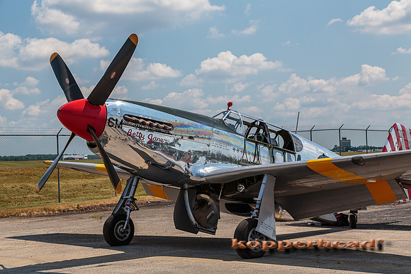 40406 08 2015 Kopperhead