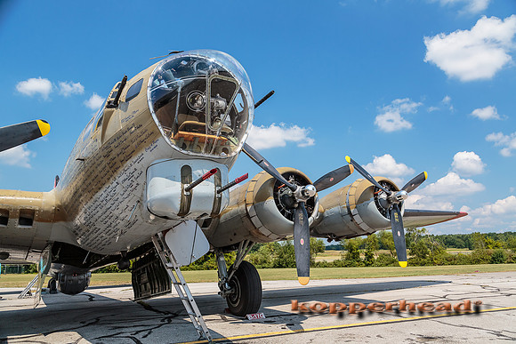 40402 08 2015 Kopperhead