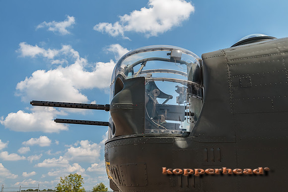 40431 08 2015 Kopperhead