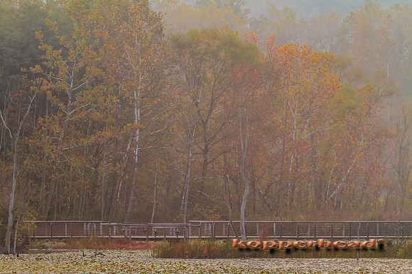 63471 10 2013 Kopperhead