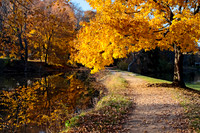 Fall Reflections 11 2008 Kopperhead