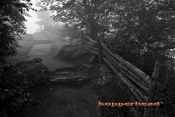 34891 08 2011 Kopperhead
