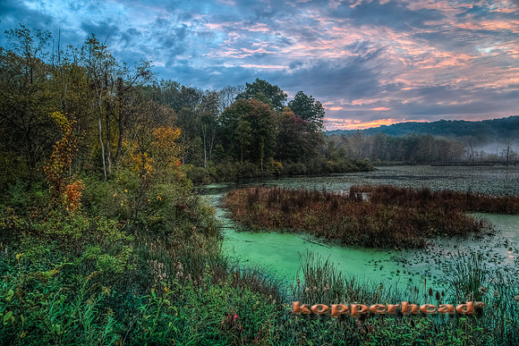 12040h 10 2013 Kopperhead