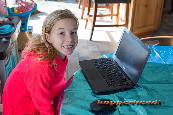 02906 02 2020 Kopperhead