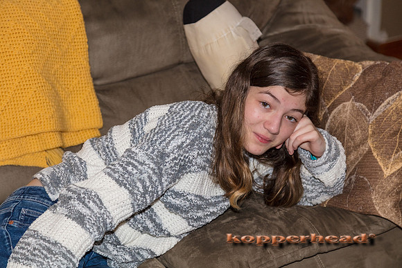 14318 11 2020 Kopperhead