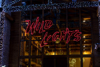 Akron Zoo Wild Lights 2018