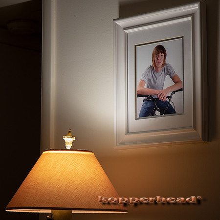 00846 01 2021 Kopperhead