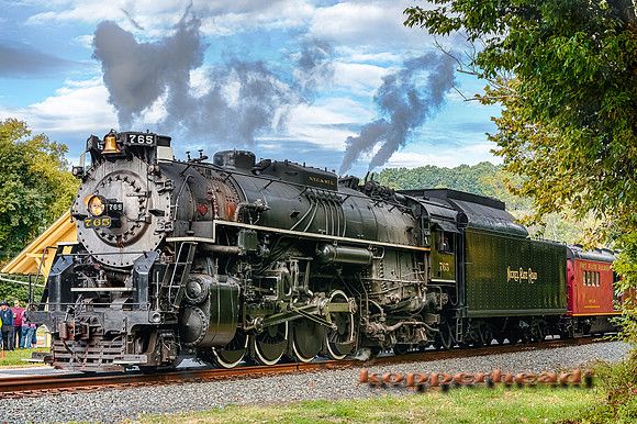 41705h 09 2015 Kopperhead