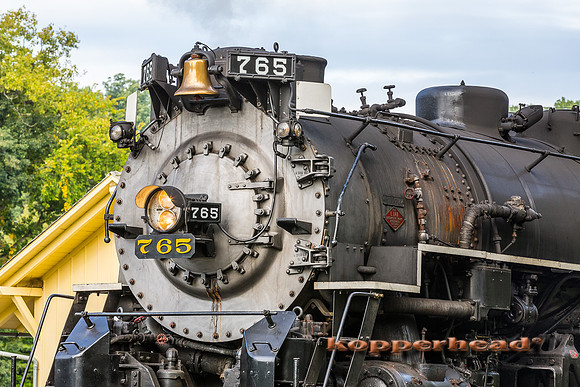 41718 09 2015 Kopperhead