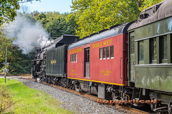 41746 09 2015 Kopperhead