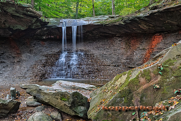 41643h 09 2015 Kopperhead