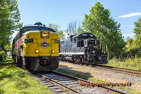 41784 09 2015 Kopperhead