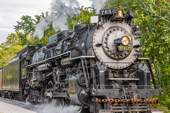 41689 09 2015 Kopperhead