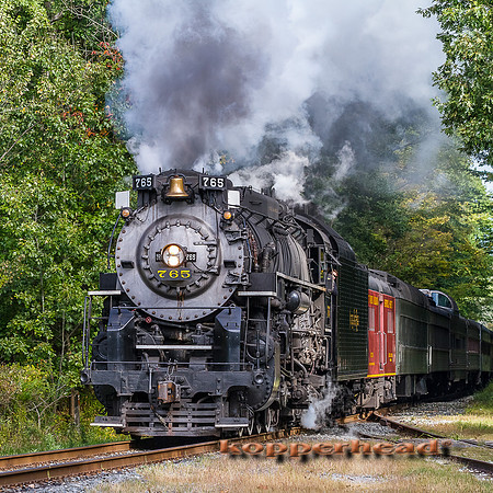 68127 09 2015 Kopperhead
