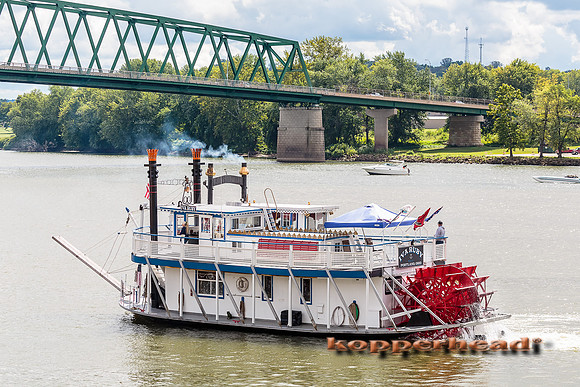 41142 09 2015 Kopperhead