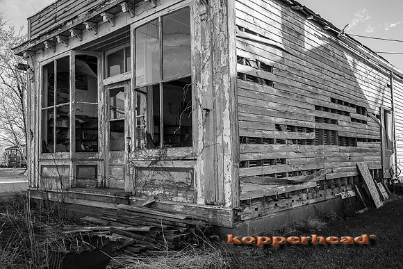 46040 12 2015 Kopperhead
