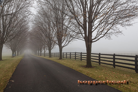 45874 12 2015 Kopperhead
