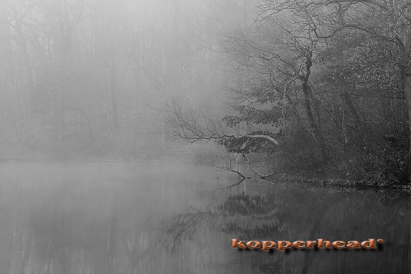 45915 12 2015 Kopperhead