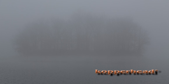 45877 12 2015 Kopperhead
