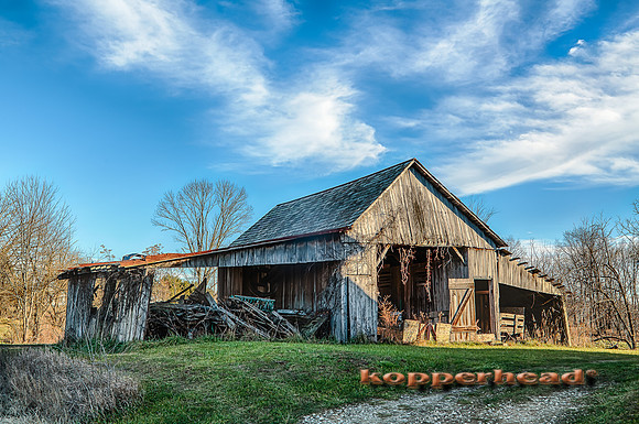 46033h 12 2015 Kopperhead