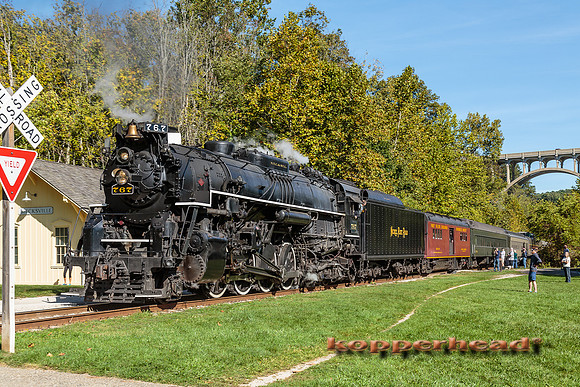 62805 09 2016 Kopperhead