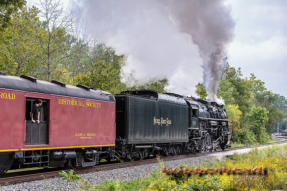 61443 09 2016 Kopperhead