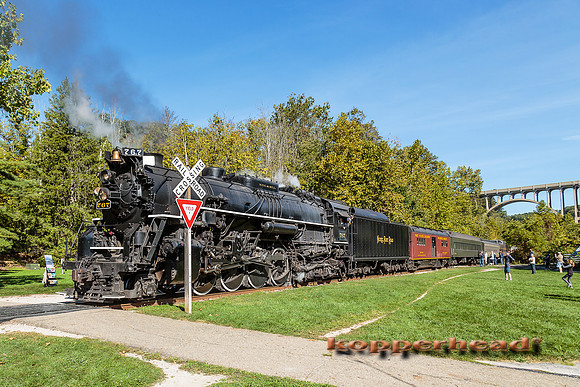 62802 09 2016 Kopperhead