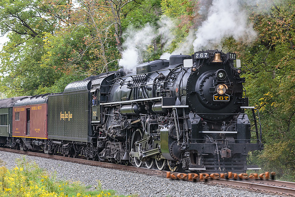 61369 09 2016 Kopperhead