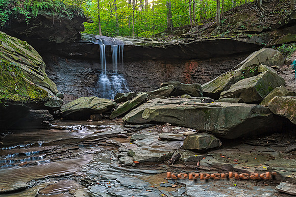 61083h3 09 2016 Kopperhead