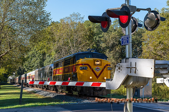 62545 09 2016 Kopperhead
