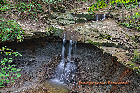 60988h3 09 2016 Kopperhead
