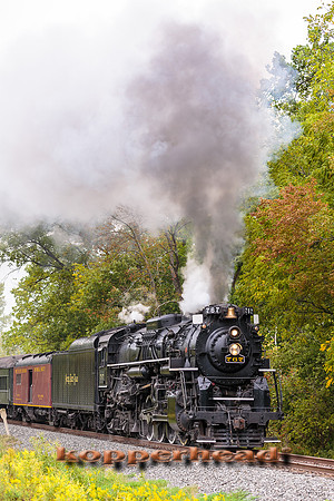 61430 09 2016 Kopperhead