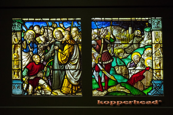 06484 06 2017 Kopperhead