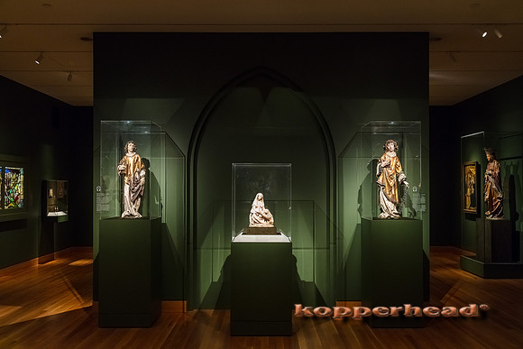 06488 06 2017 Kopperhead
