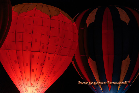 51998 05 2016 Kopperhead