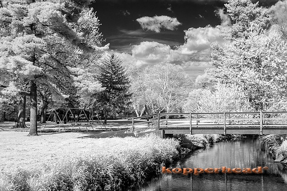 69390ir 05 2016 Kopperhead