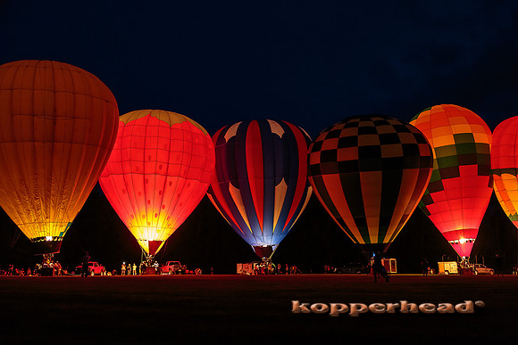 51907 05 2016 Kopperhead