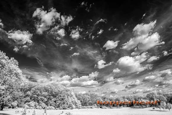 69398ir 05 2016 Kopperhead