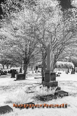 69385ir 05 2016 Kopperhead
