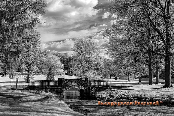 69395ir 05 2016 Kopperhead