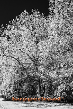 69402ir 05 2016 Kopperhead