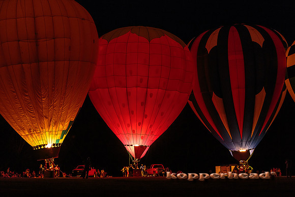 51956 05 2016 Kopperhead