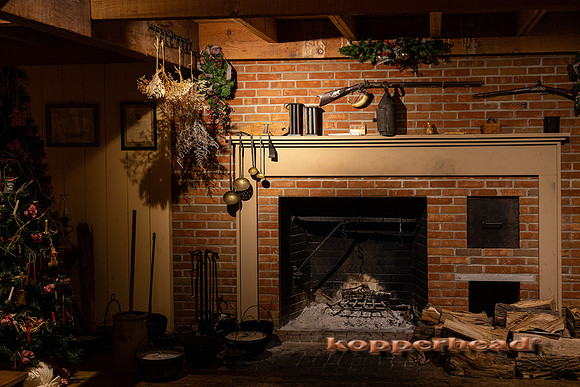 22552 12 2021 Kopperhead